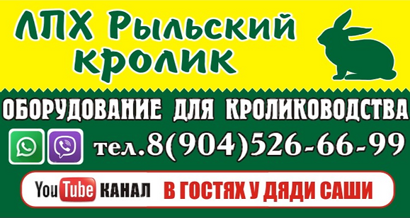 Наши партнеры и друзья